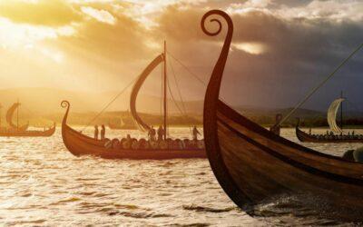 VIKINGS IN IRELAND WITH LUCAN LIBRARY